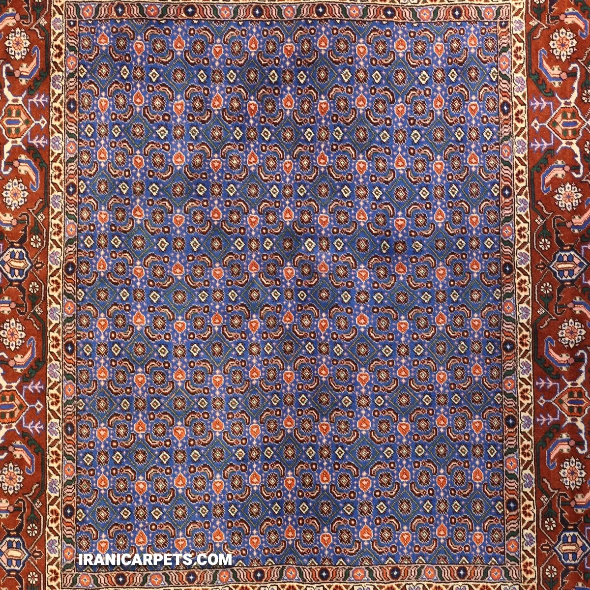 farshboom-zl3bEUrRu1Bb