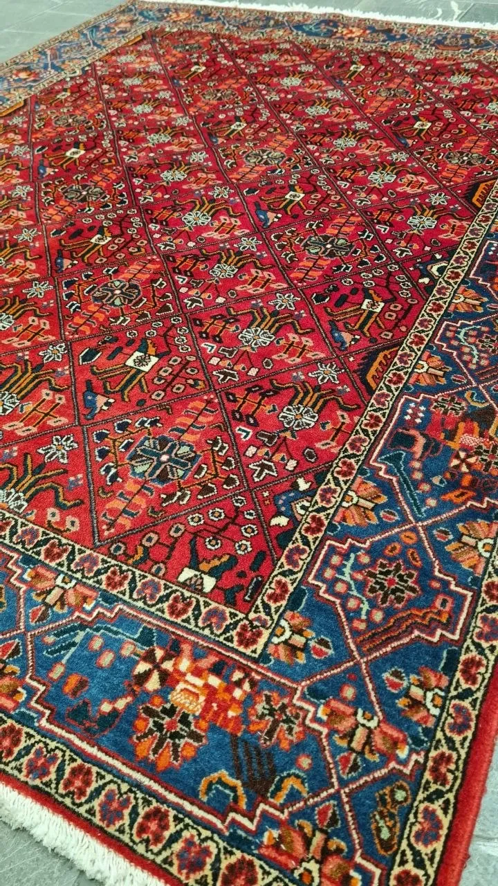 farshboom-Bj3xrv1yz6g7