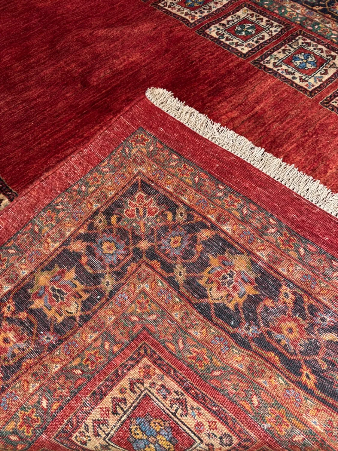 farshboom-K2oAUirQoE1n