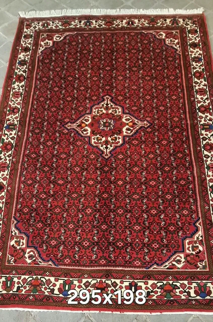 farshboom-Q2RoiqVx57hd
