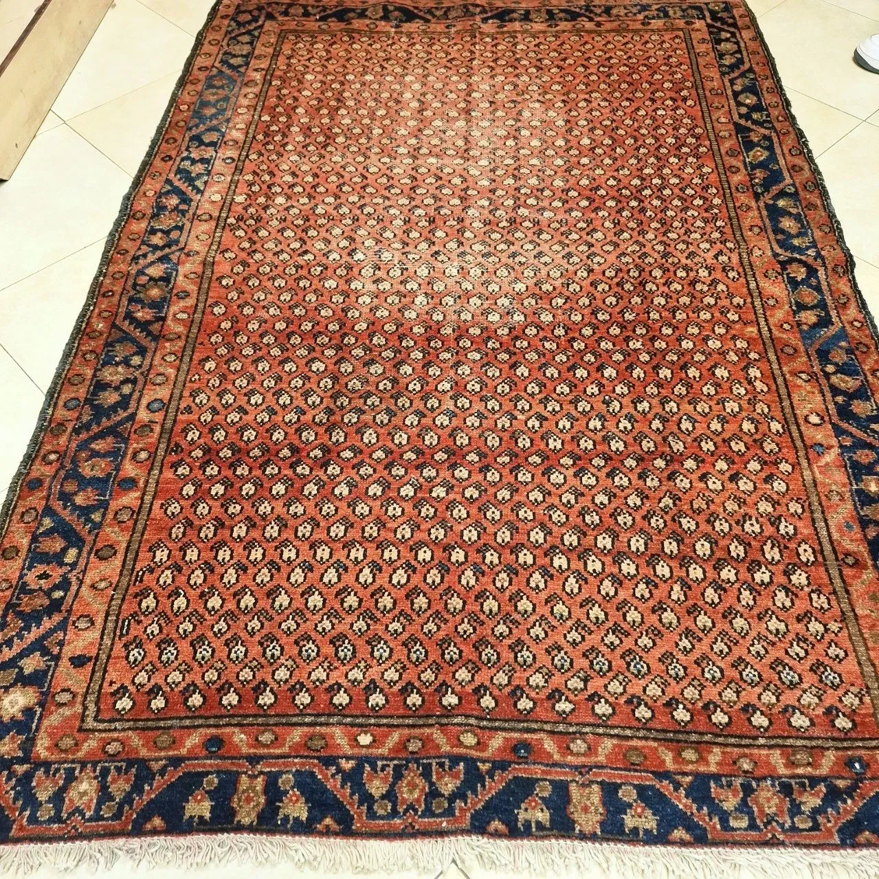 farshboom-xhP3V6sI3npU