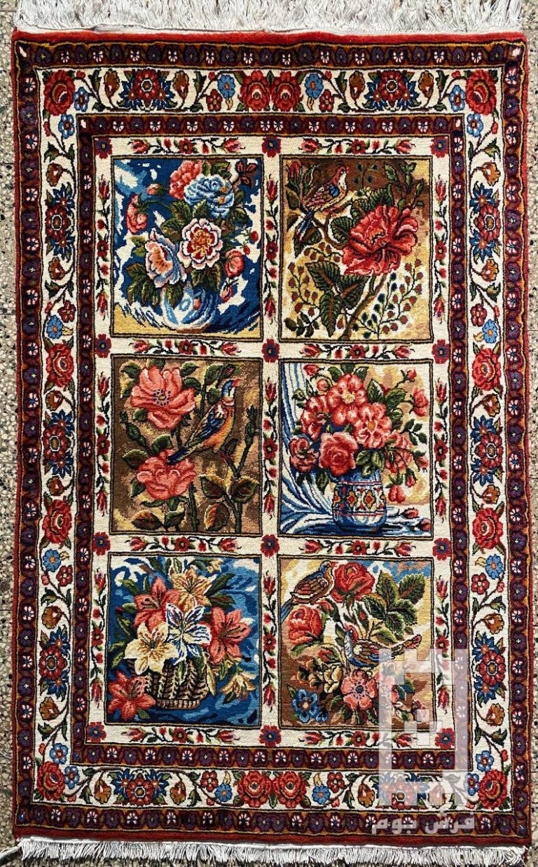 IMG_20231125_134816_402