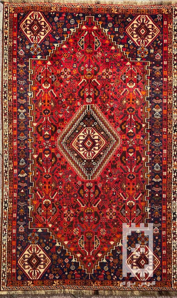 IMG_20231207_120119_531