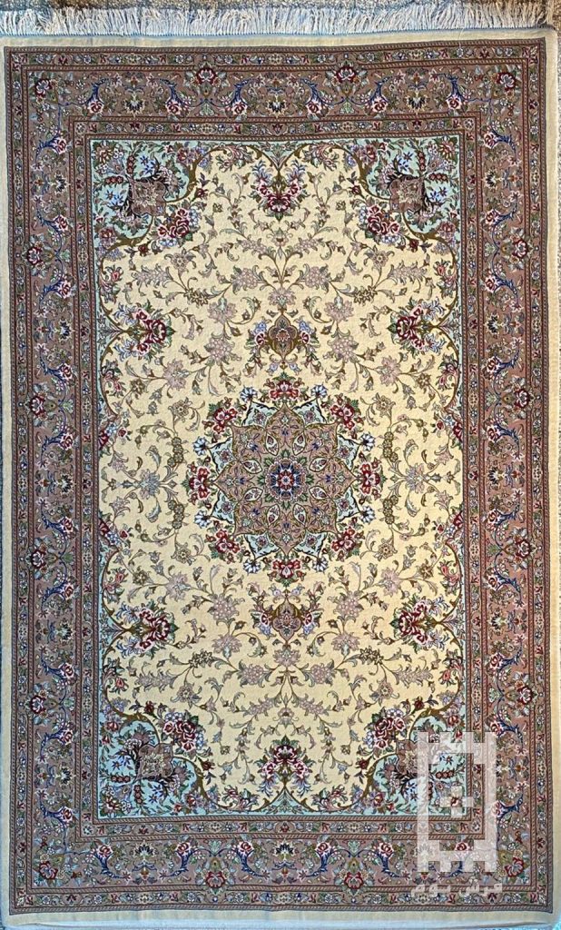 IMG_20240121_125056_661