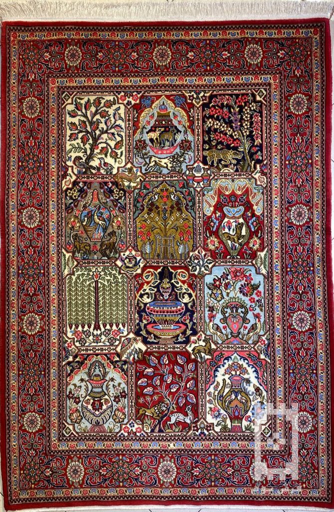 IMG_20240123_171812_267