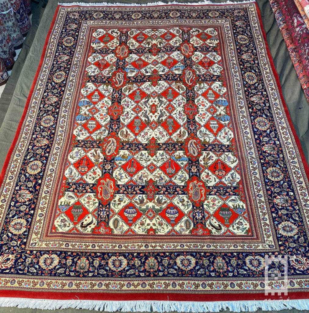 IMG_20240220_124625_893