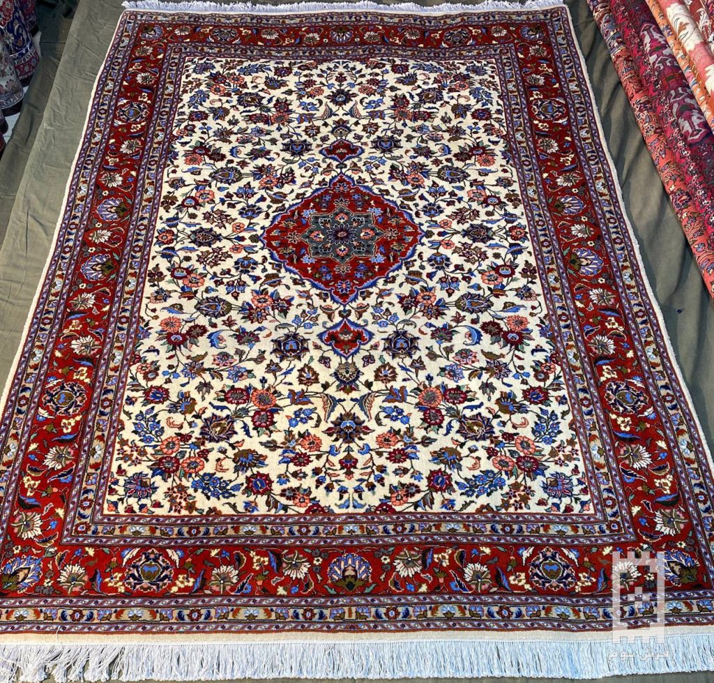 IMG_20240220_124625_896