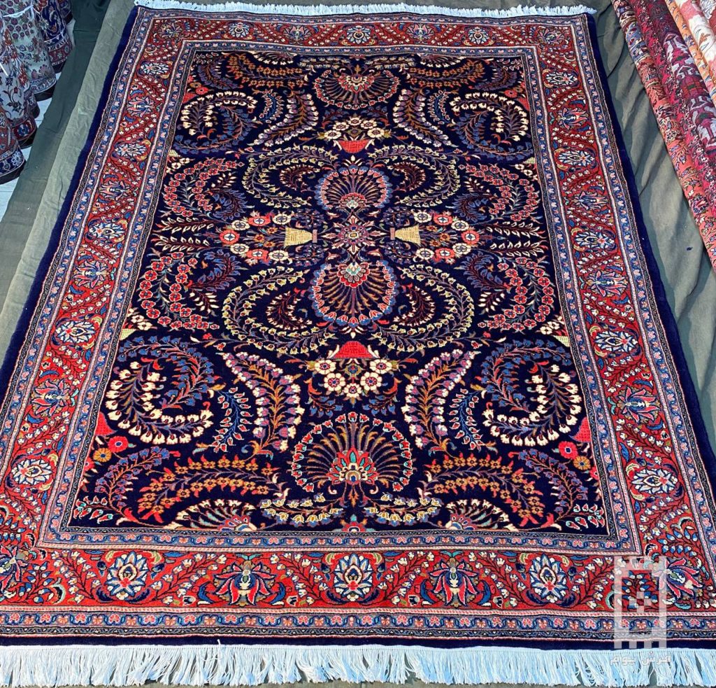 IMG_20240220_125434_144