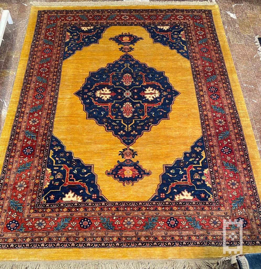 IMG_20240221_155133_634