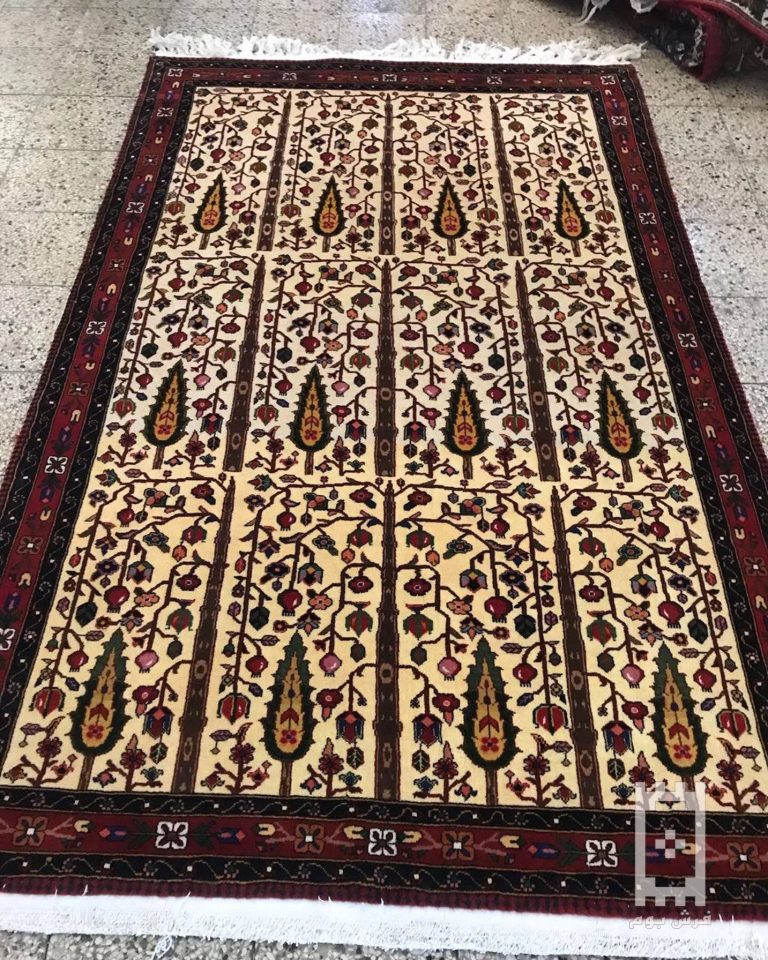 IMG_20240226_170009_543