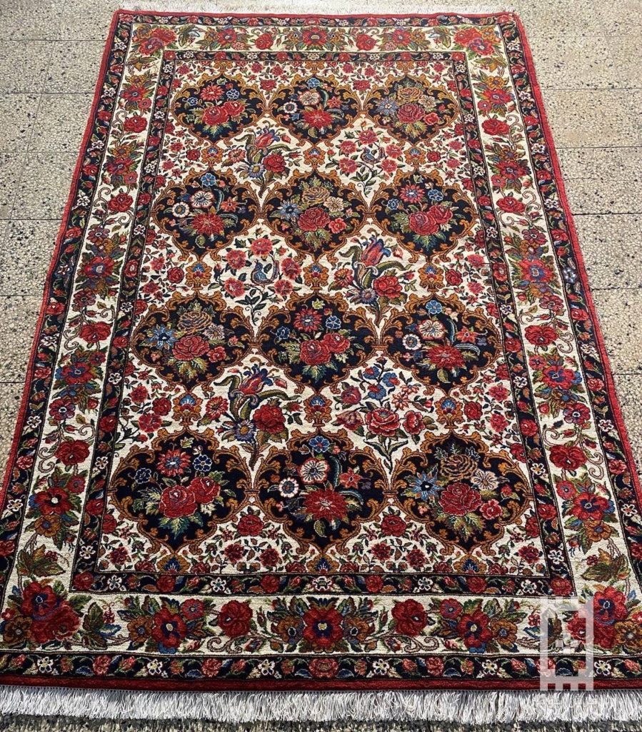 IMG_20240226_170023_534