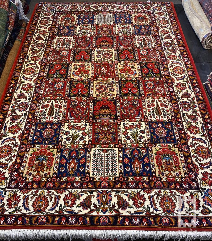 IMG_20240307_105923_239