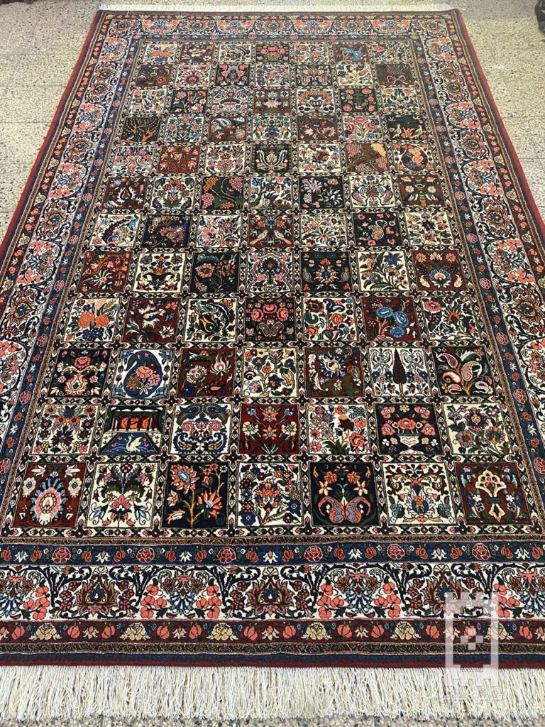 IMG_20240317_124408_811