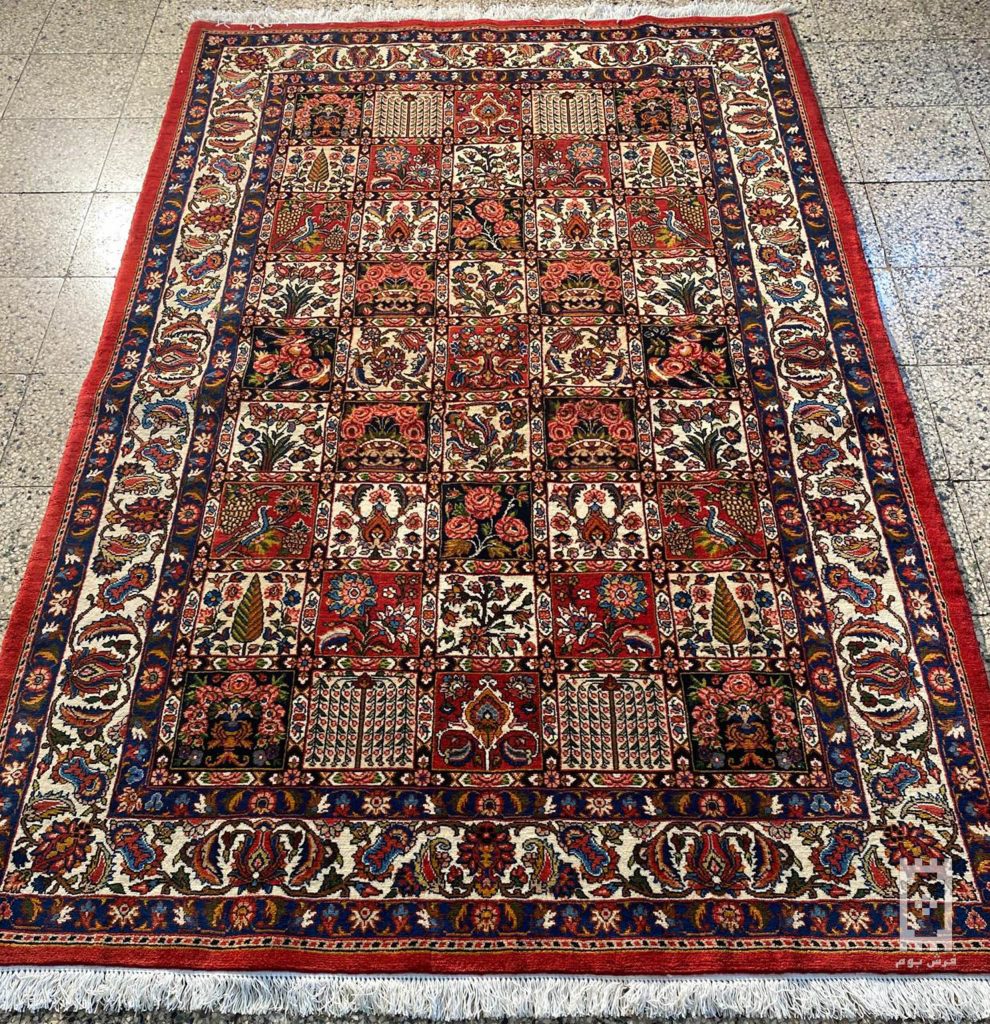 IMG_20240516_135503_498