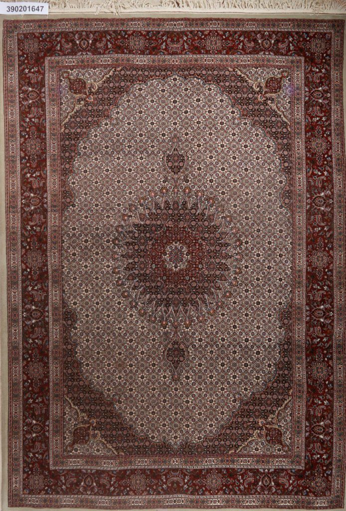 photo_2024-11-28_16-05-37