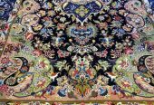 pana.carpet-20241217-0045