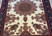 pana.carpet-20241217-0102