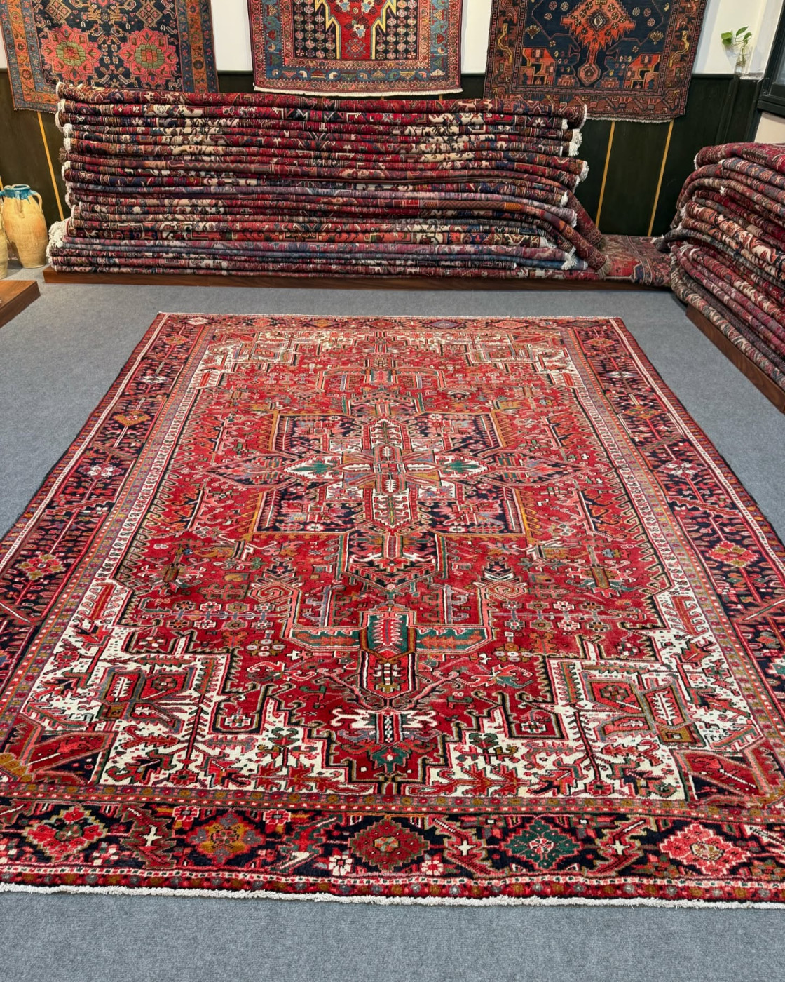 patris_rugs-20250106-0002