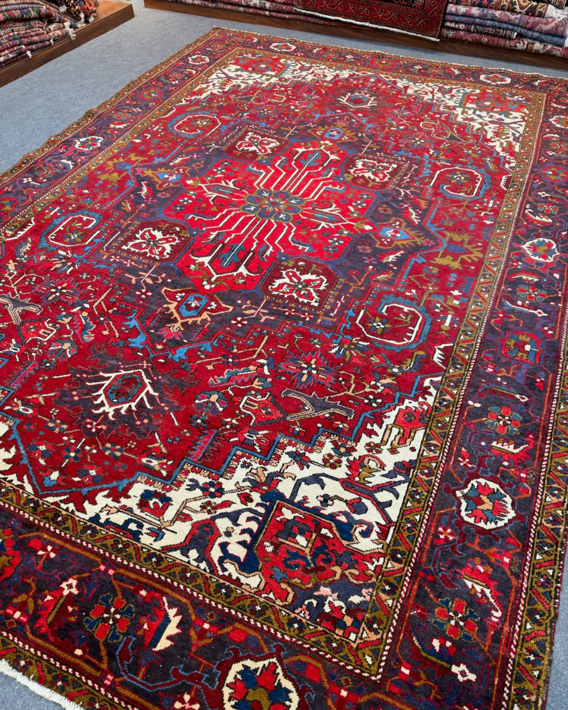 patris_rugs-20250106-0006