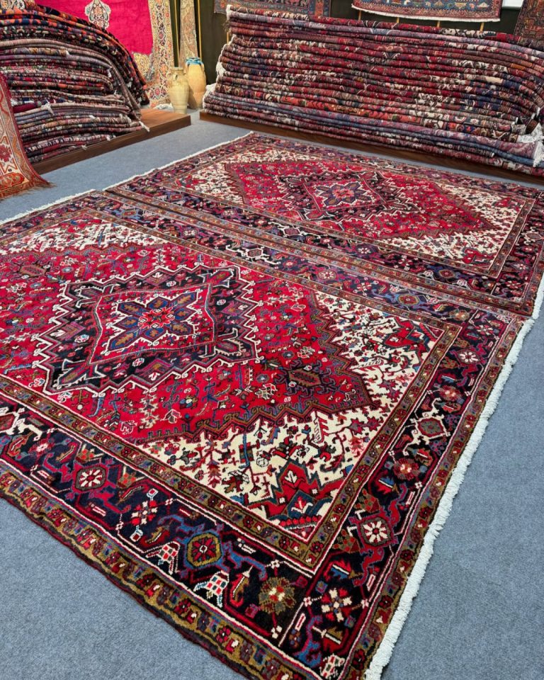 patris_rugs-20250106-0023