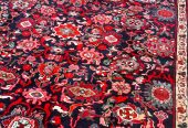 patris_rugs-20250106-0033