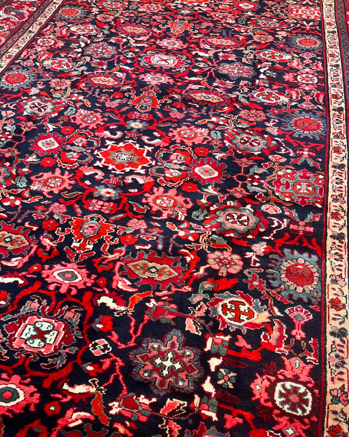 patris_rugs-20250106-0033