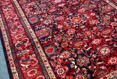 patris_rugs-20250106-0035