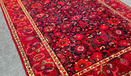 patris_rugs-20250106-0036