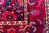 patris_rugs-20250106-0037