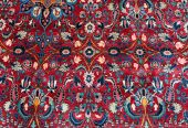 patris_rugs-20250106-0053