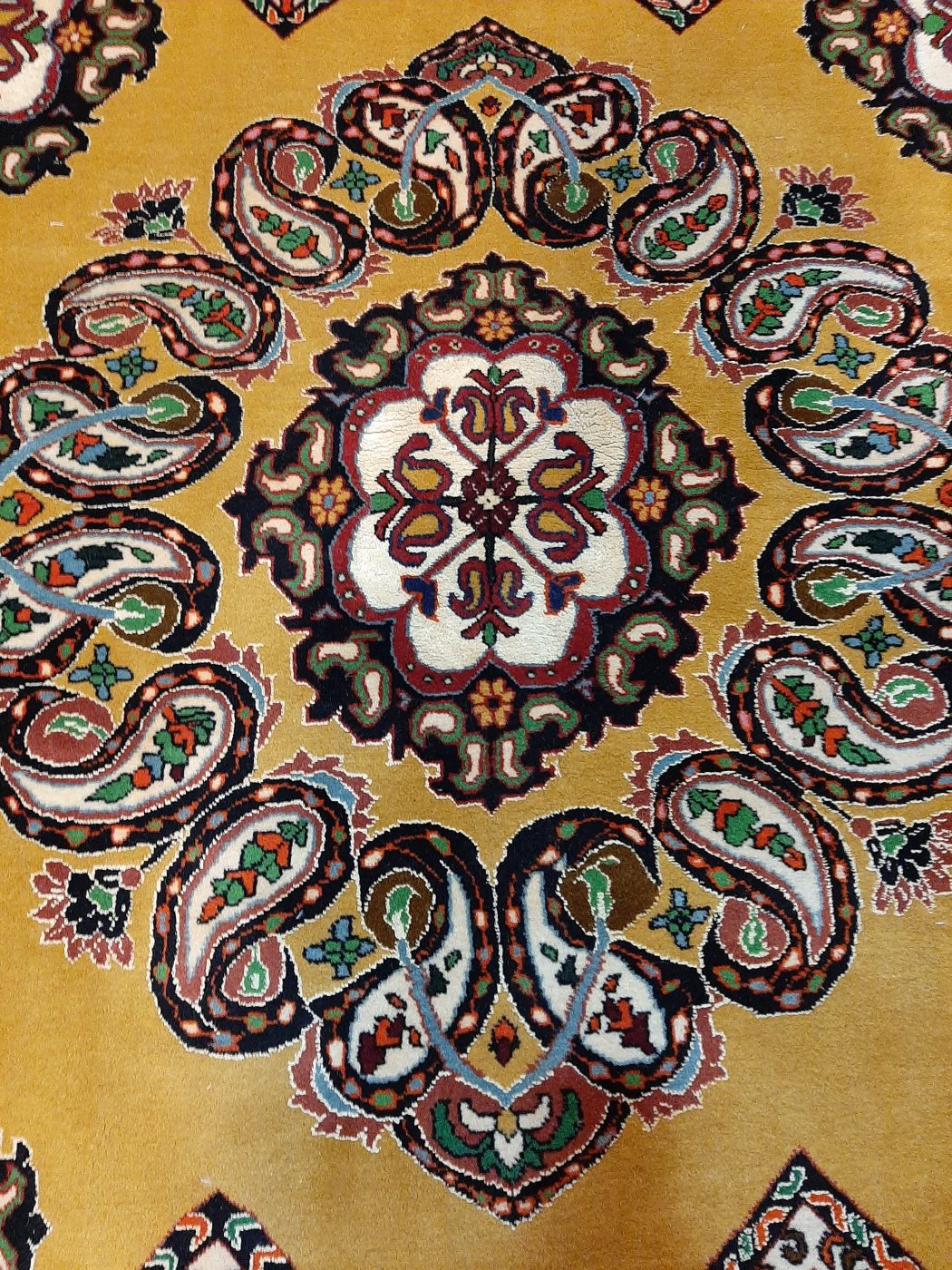 carpet-farshboom-1343419008