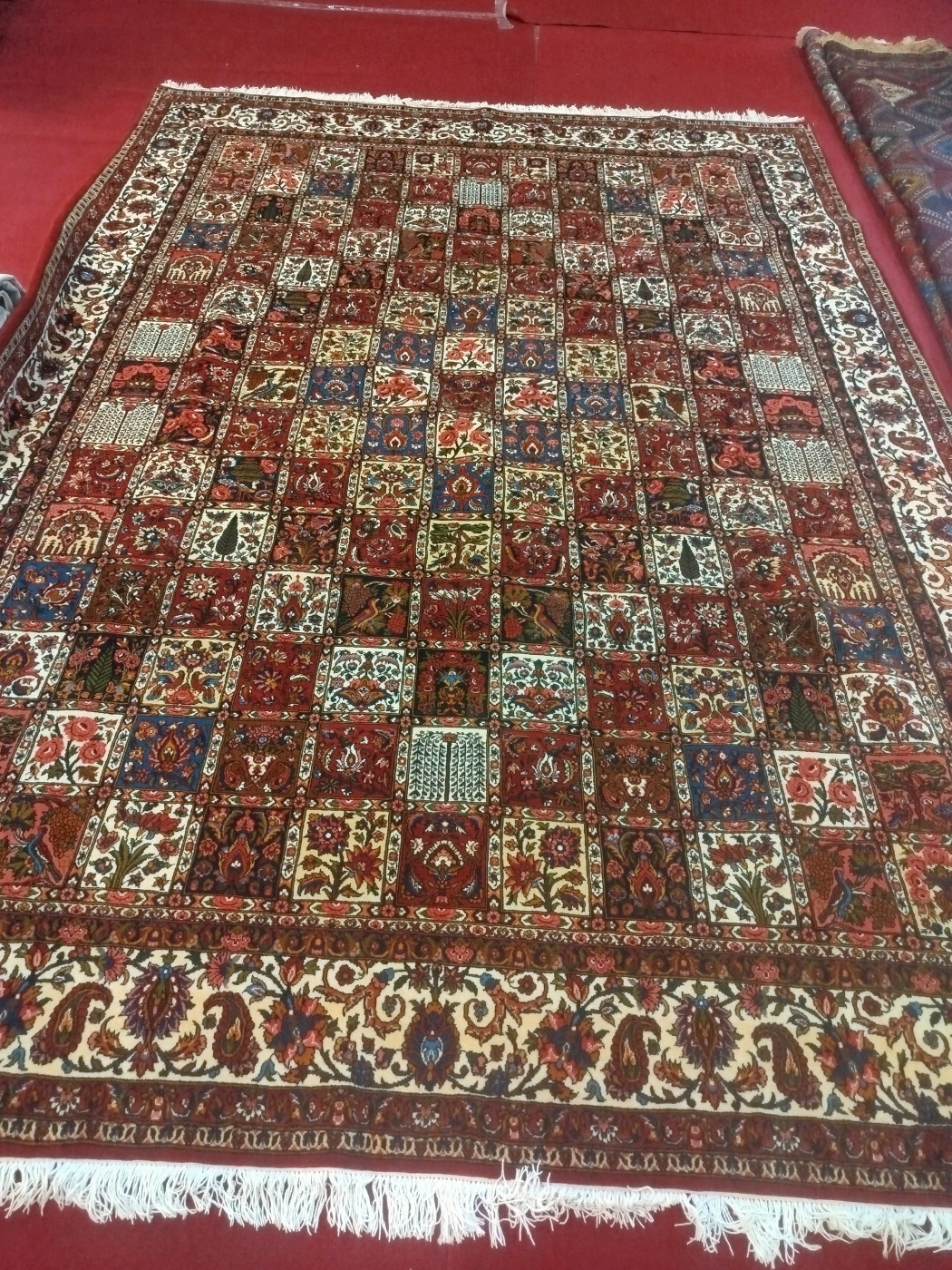 carpet-farshboom-2713484252