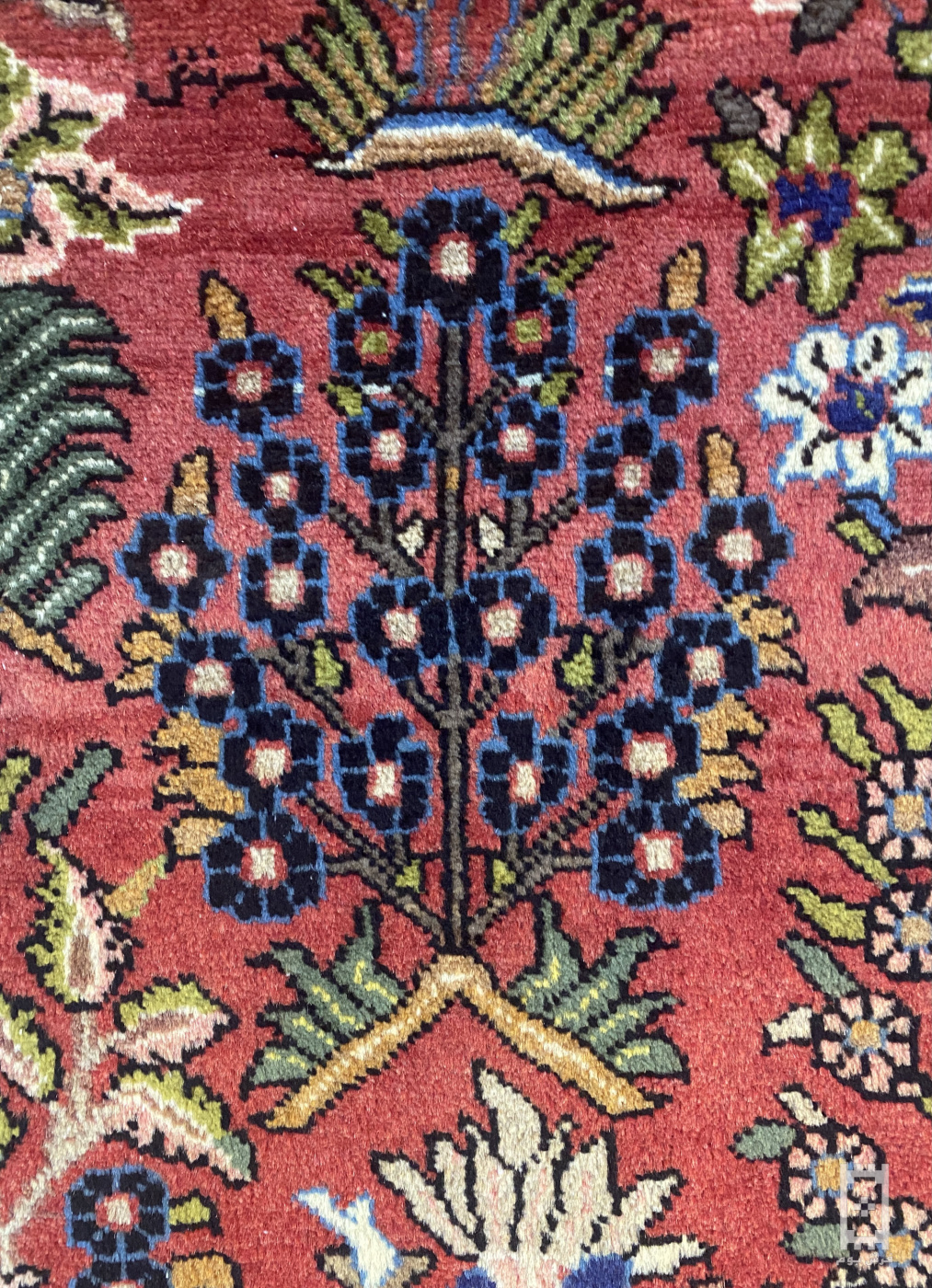 carpet-farshboom-4391212030