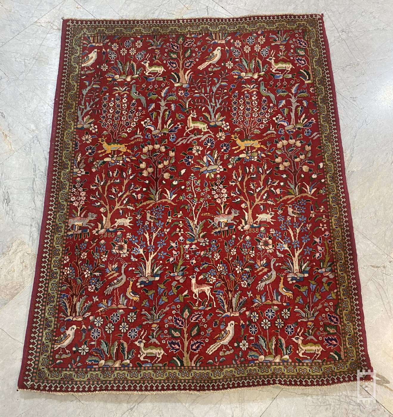 carpet-farshboom-9790951667