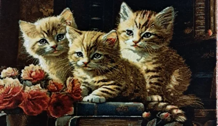 carpet-farshboom-5018216103