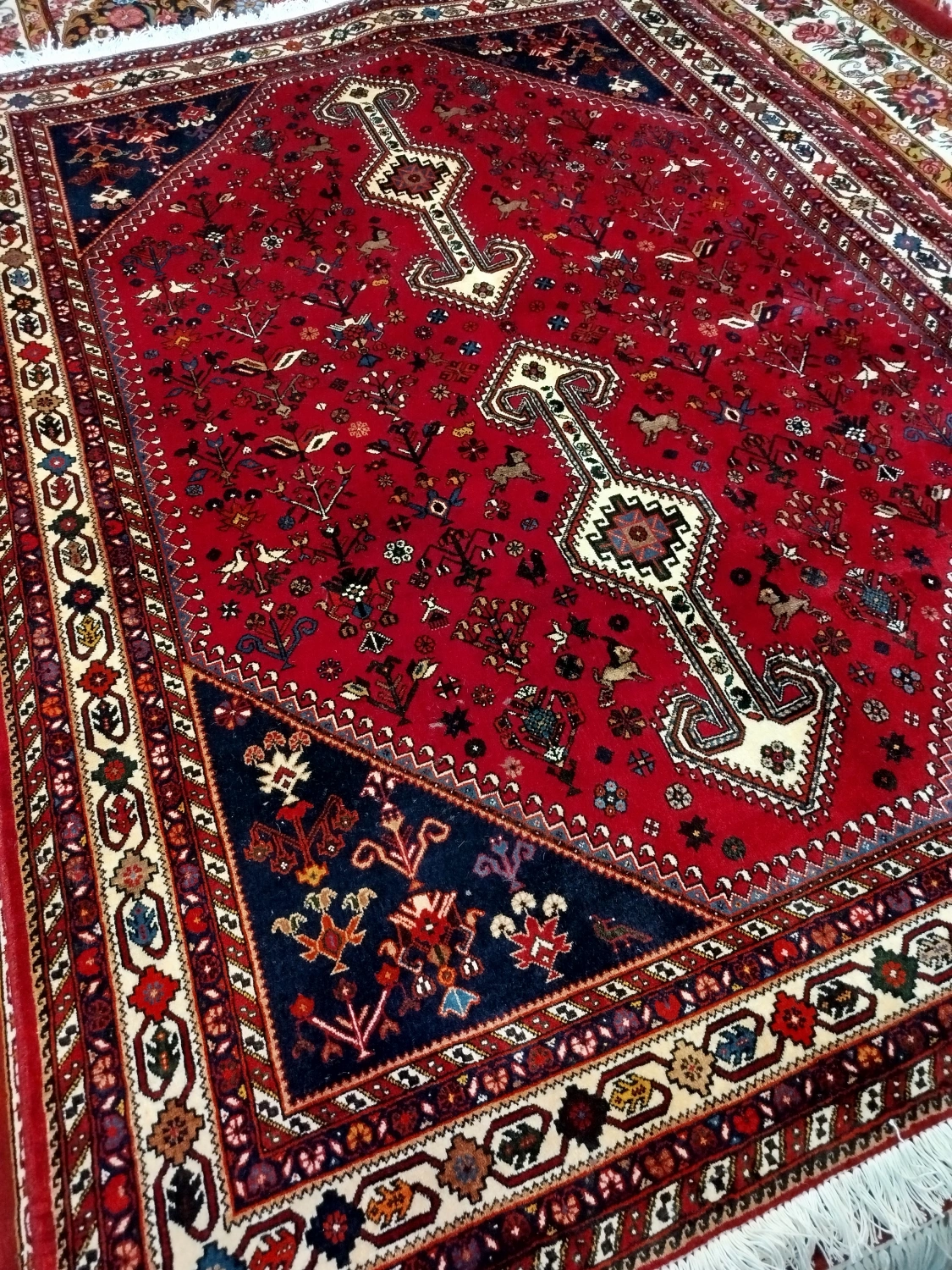 carpet-farshboom-8785104937