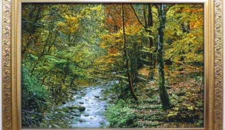 carpet-farshboom-2879743712