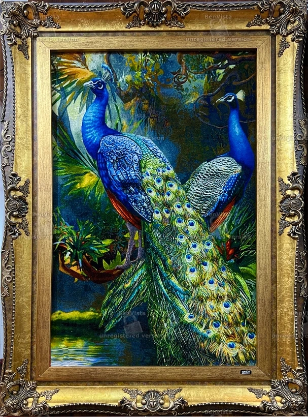 carpet-farshboom-5024625172