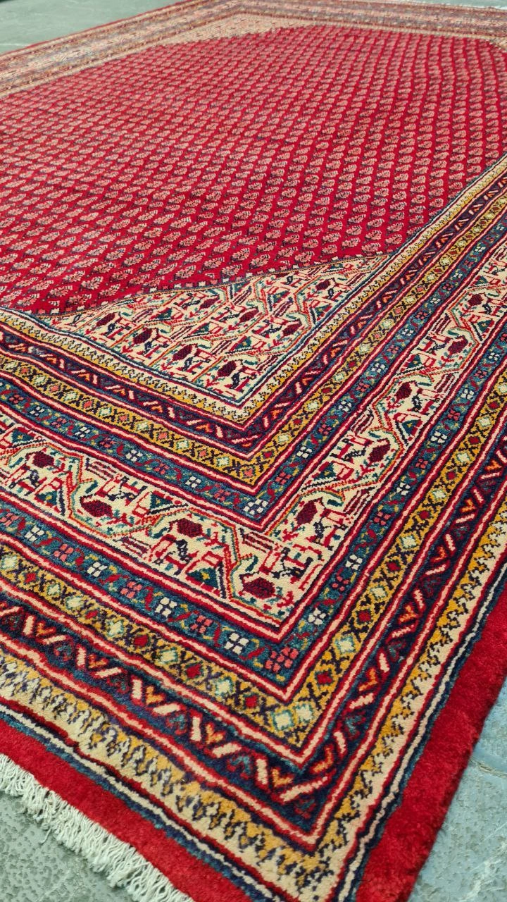 carpet-farshboom-5154892848