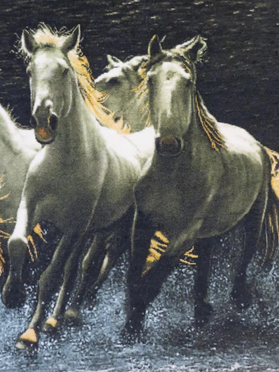 carpet-farshboom-5425516458