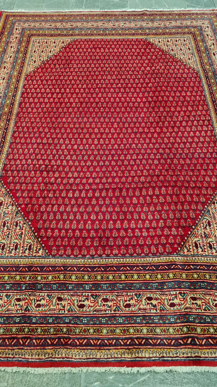 carpet-farshboom-7179167814