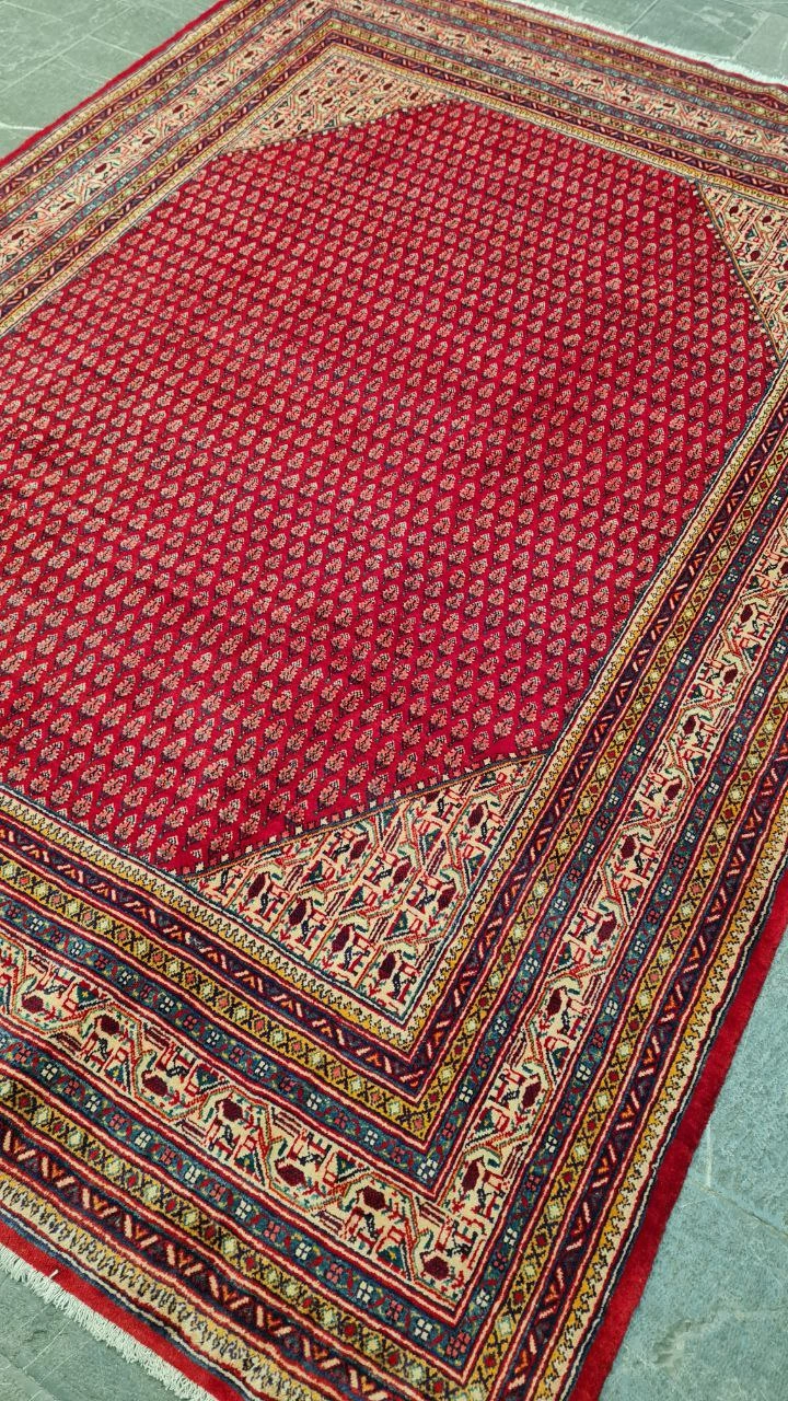 carpet-farshboom-7423337795