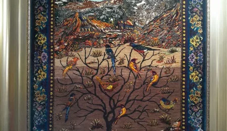 carpet-farshboom-9196183768