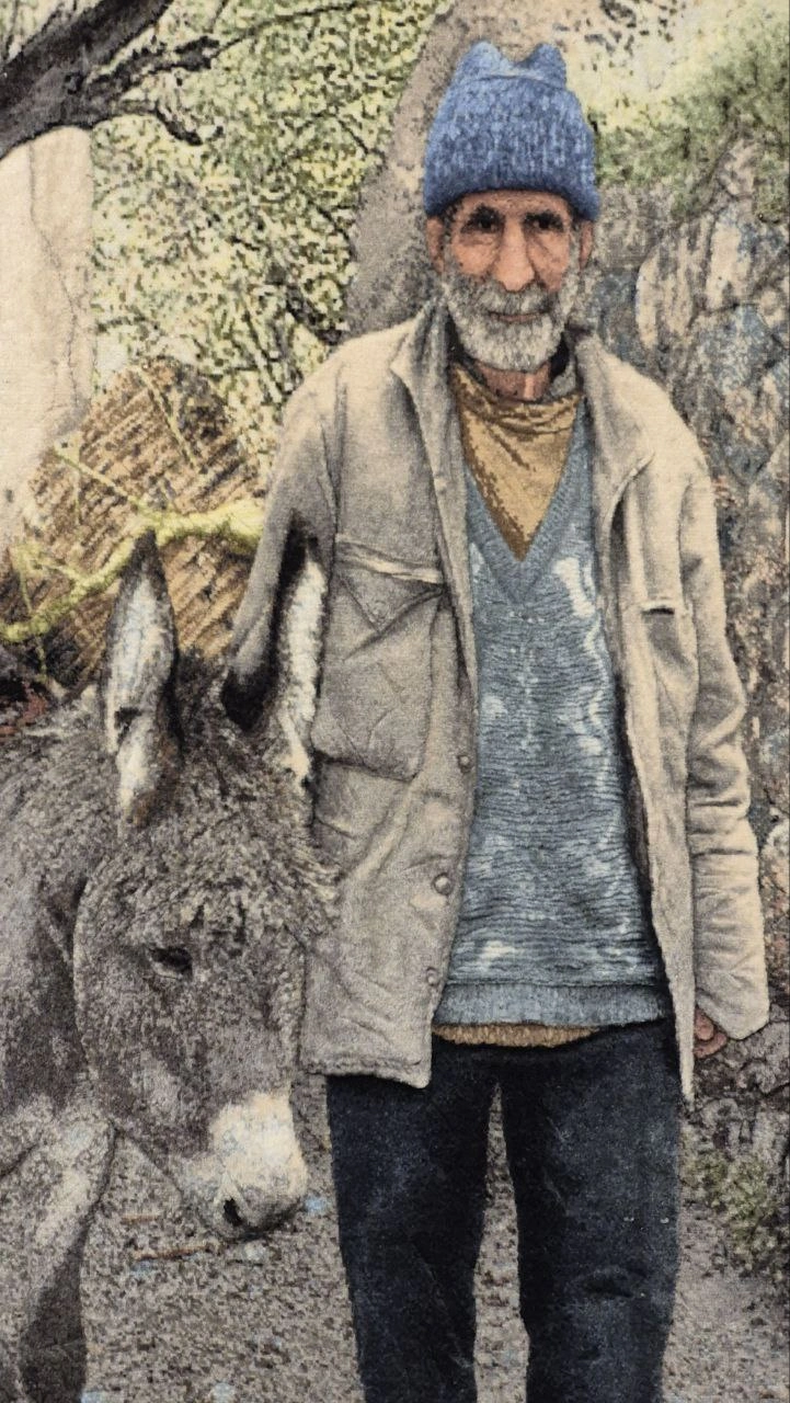 carpet-farshboom-9390916522