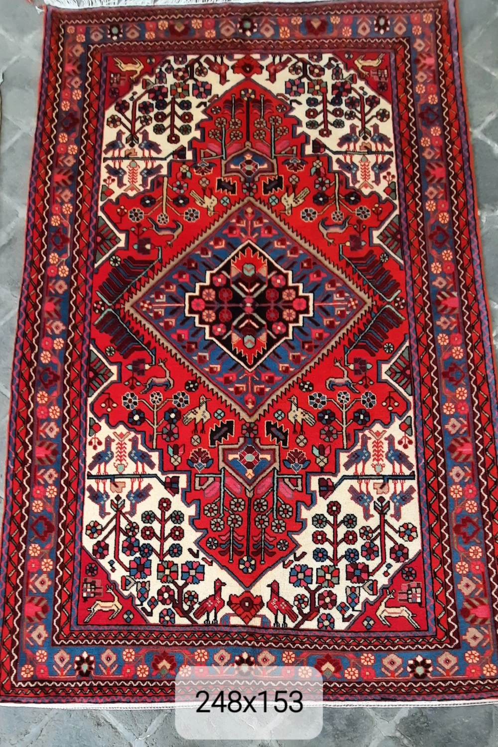 carpet-farshboom-0098230378