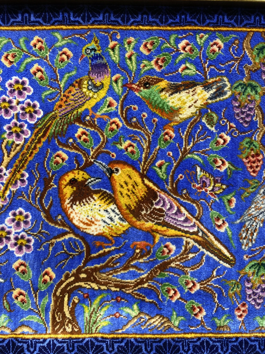 carpet-farshboom-0205236463