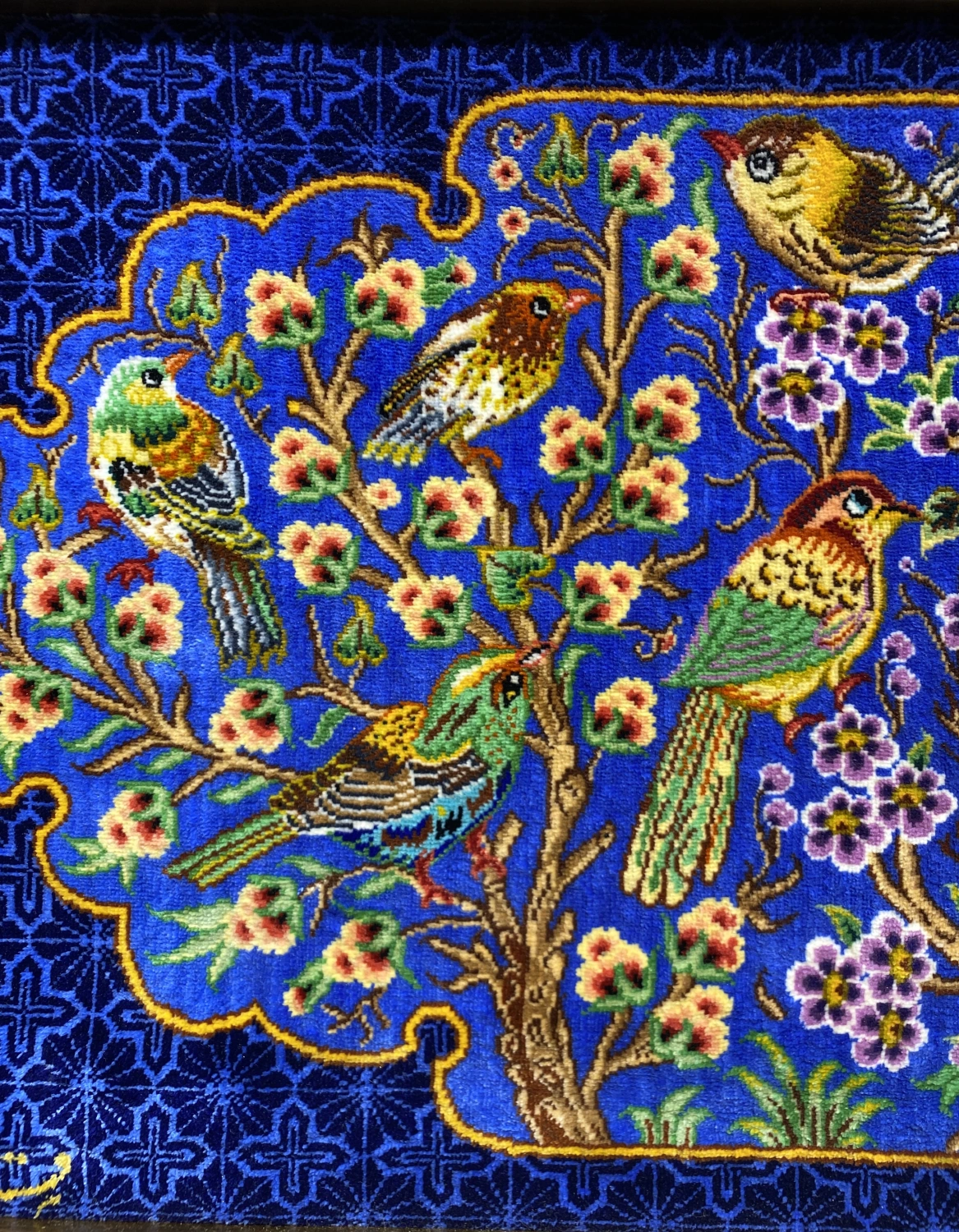 carpet-farshboom-2076996967