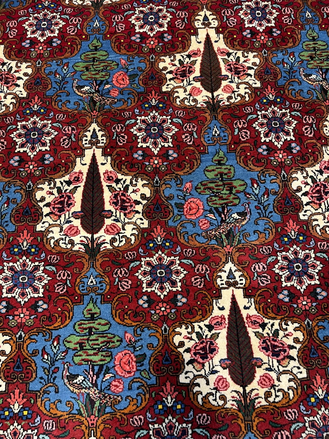 carpet-farshboom-6536553819