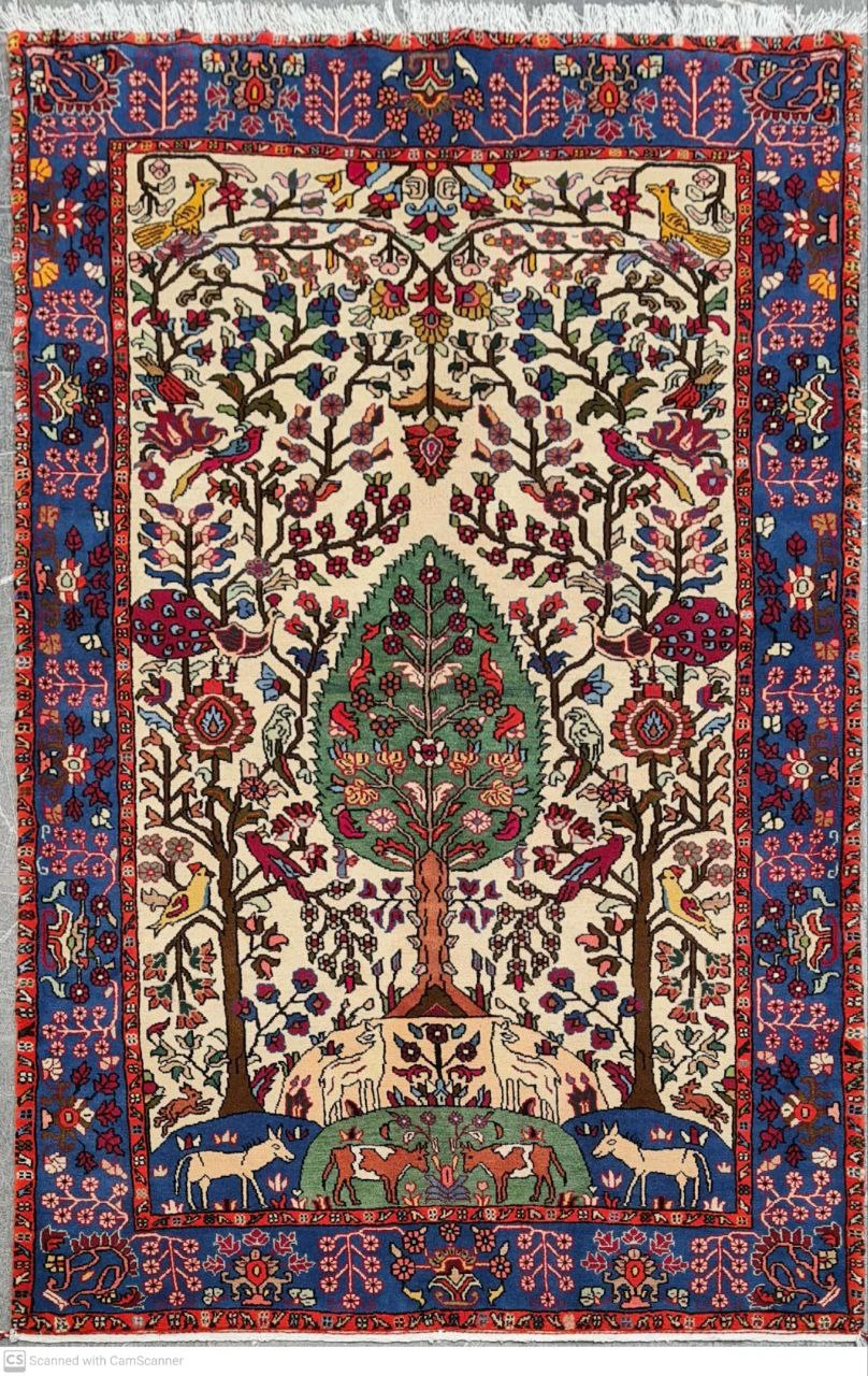 carpet-farshboom-2102566817