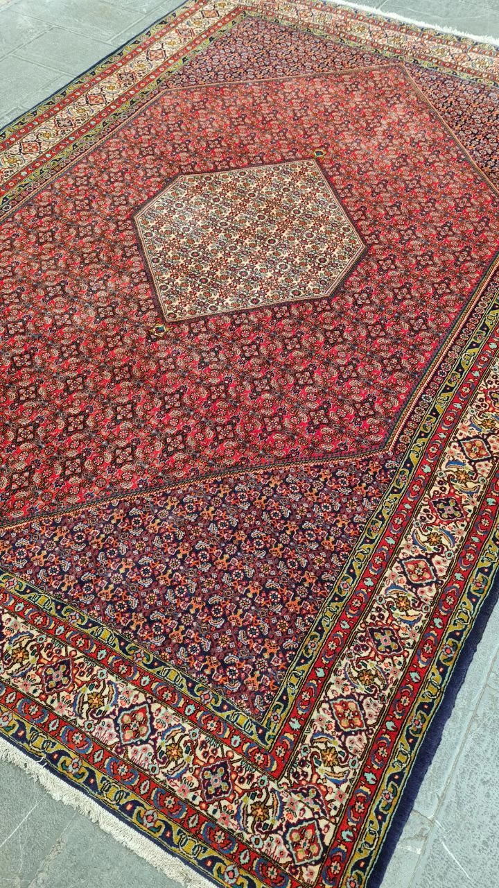 carpet-farshboom-2244776890